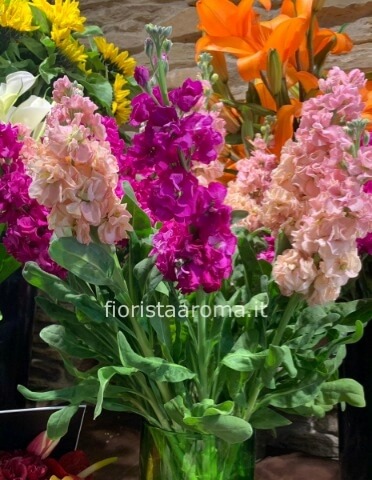 Omaggio da concordare a telefono al 3488130392