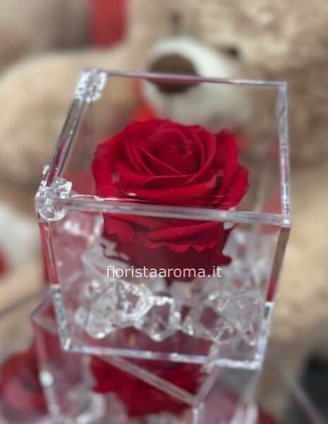 rosa burgundy eterna