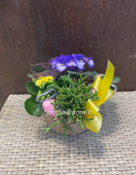 Cestino con viola del pensiero