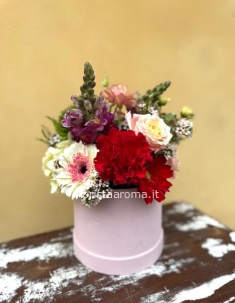 box della mamma small