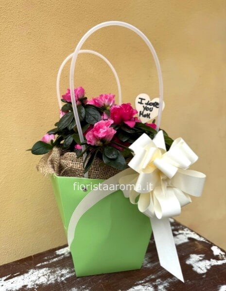 Borsetta di azalea